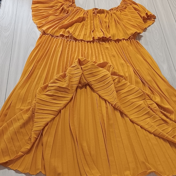 Plus Size Off Shoulder Pleated Dress - Picture 9 of 16